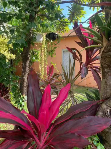 Garden House