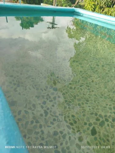 Parador tropical Raysa