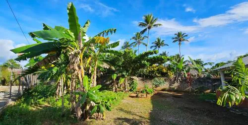 Villa Jardín Tropical