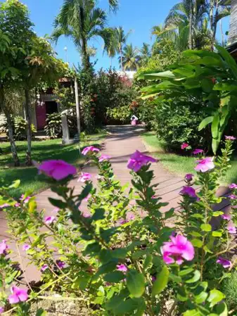 Hotel Casa Robinson