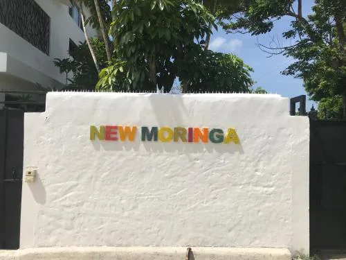 NEW MORINGA