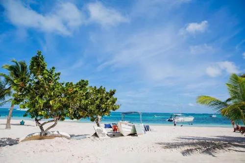 Coconut beach