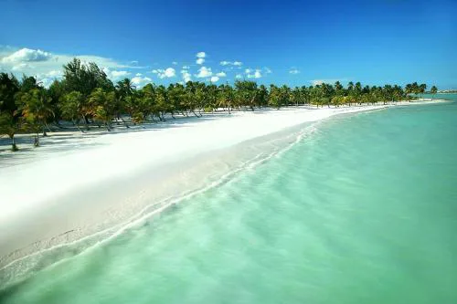 Green Wood | Estancia Elegante en Cap Cana