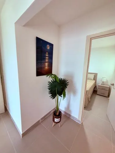 Paradisio Rentals