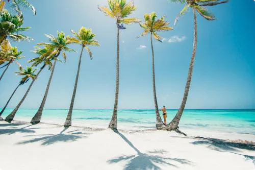 TROPICANA PALMS SUITES & STUDIOS playa LOS CORALES - wifi, bbq-grill, beach club & spa