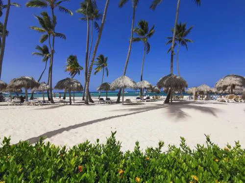 Tropicana's Secret STUDIOS & SUITES pool BBQ Playa Los Corales SPA