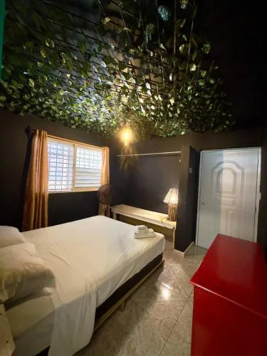 Bed-Breakfast lunch Tropical Private-room