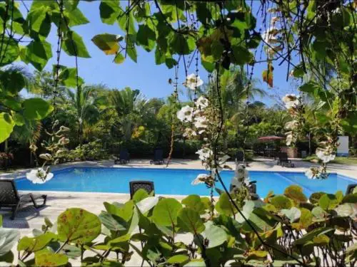 Paraiso de verano