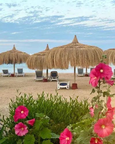 Avenue Alhambra princess resort