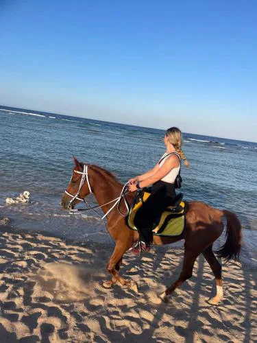 Horse Riding Tour