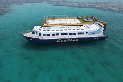 Hurghada Underwater Semi Submarine and Snorkeling