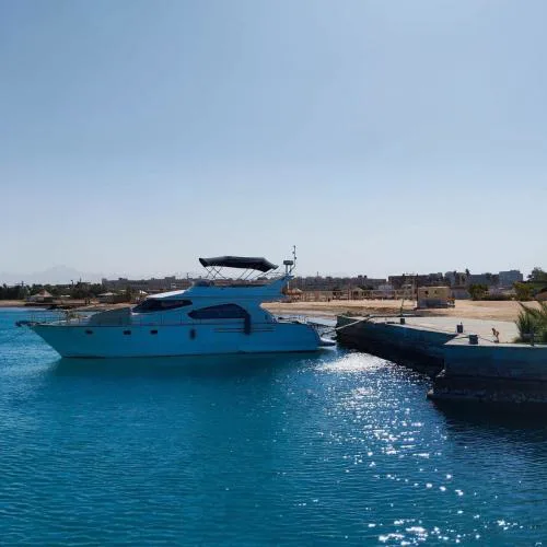 افينو