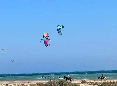 Mangroovy Gouna 1 BR apartment