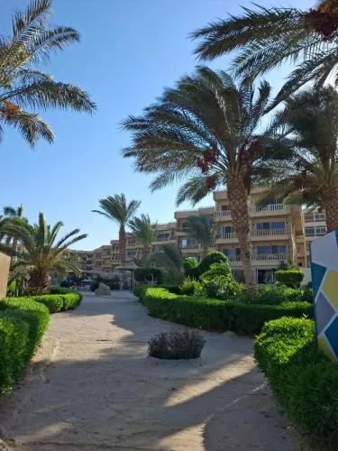 Palma chalet 169
