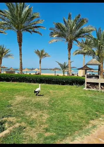 Palma Resort