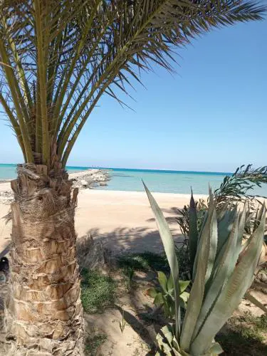 Royal sea view