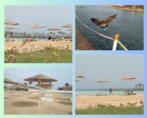 Scandic Resort: Comfy & Cozy. A433