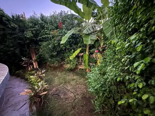 Rehab 2, Gate 24, private Garden