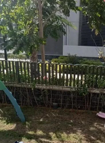 مدينتي