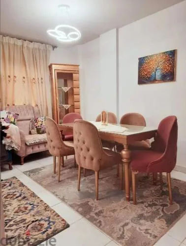 شقه مفروش فرش فندقي مدينتي