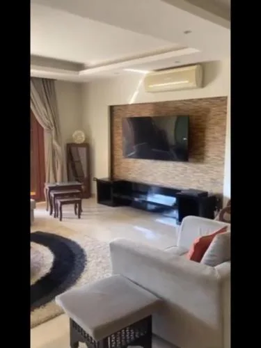 3 bedroom furnished oppositeAUC