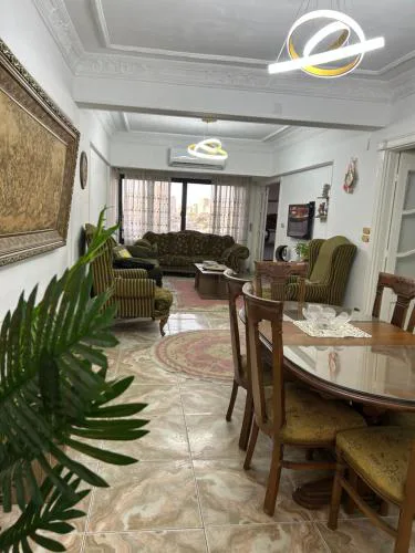 amazing Nile view fully furnished apartment