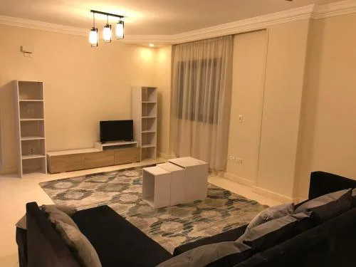 Big Apartment 2