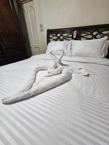 Classic Apartment Near the Nile, Downtown Cairo