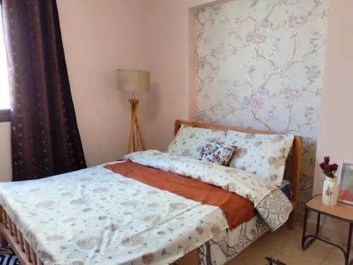 Cozy apartment Maadi Ring road