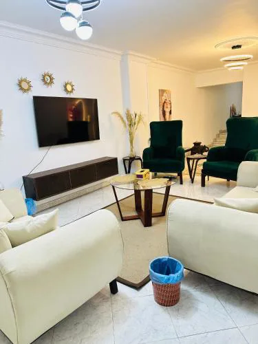 cozy two bedroom flat degla maadi