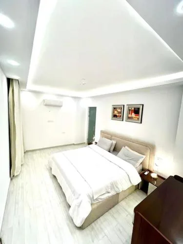 Luxurious apartment in Maadi