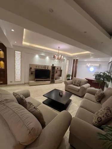 Luxurious apartment in zamalek
