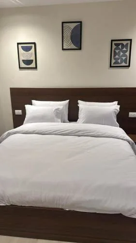 Luxury Apartment in Cairo