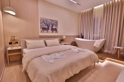 Luxury Studio in Nasr City Steps from City Stars