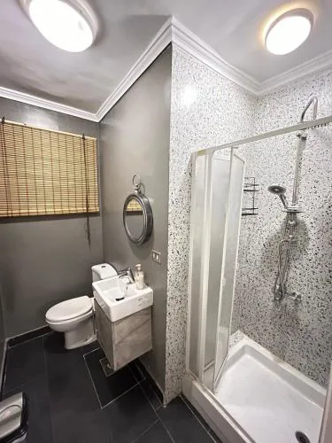 Zamalek hotel apartment 2BR