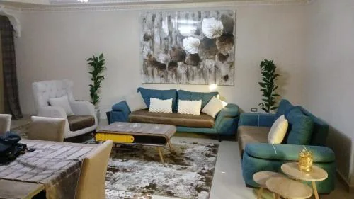Fully Brand New Furnished Apartment