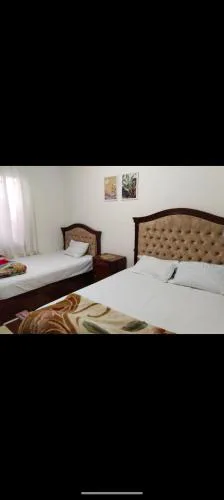 شقة مفروشة غرفتين ف الشيخ زايد