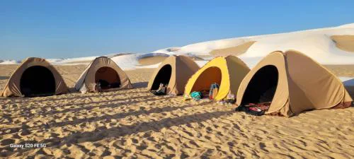 Camp White Desert