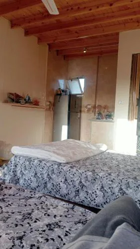 A room to share with someone