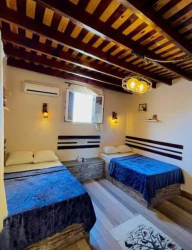 AMFIBIAN Guesthouse