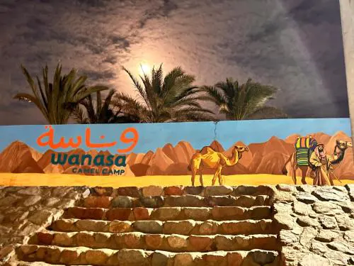Wanasa Camel