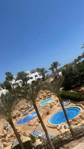Domina Coral Bay