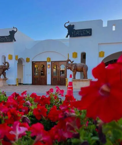Domina Coral Bay Suite Harem Sharm El Sheikh