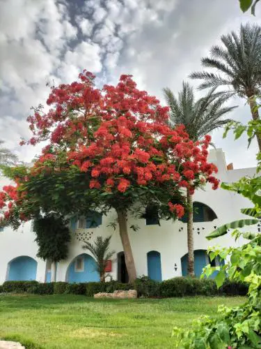 One Bedroom Apartment in Coral Bay Roby
