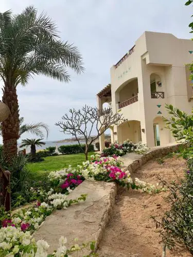 Seafront apartment - sharks bay