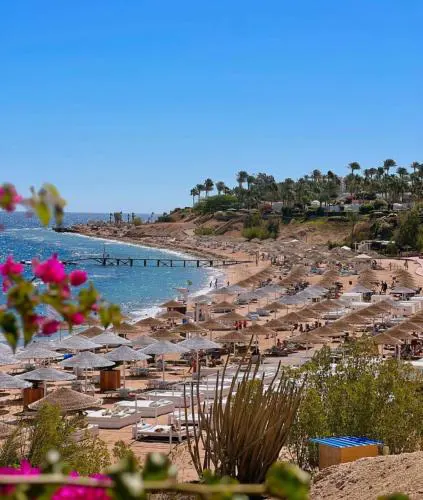 Sharm Prestige Room 52 - Luxury sea view at coral bay