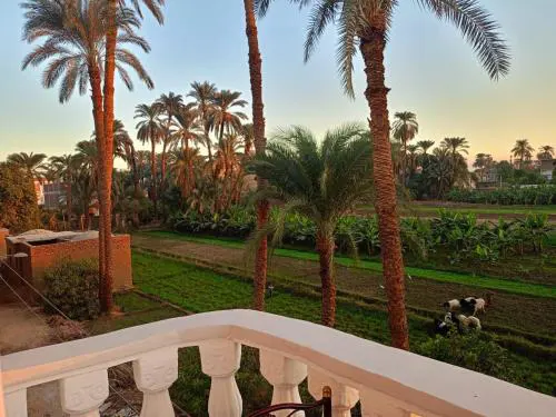 Djorff Guest House