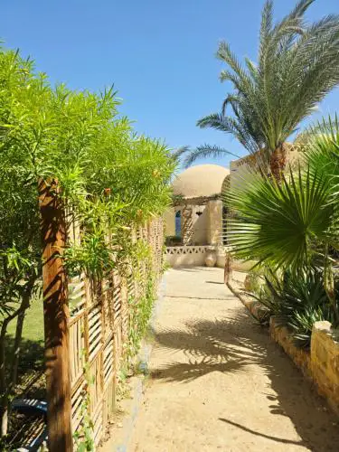 Fayoum Art Center
