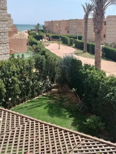العين السخنة