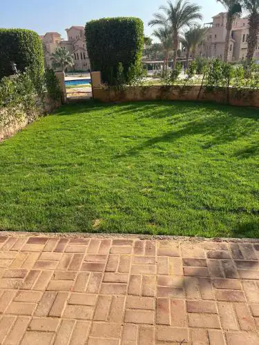 Piacera 201